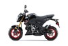 2021 Z125 PRO