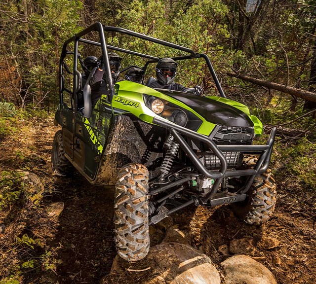 Image of 2025 TERYX4  in action