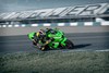 2025 NINJA ZX-10R KRT EDITION