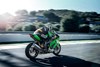 2025 NINJA ZX-10R KRT EDITION