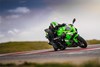 2025 NINJA ZX-6R KRT EDITION