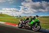 2025 NINJA ZX-6R KRT EDITION