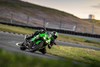 2025 NINJA ZX-6R KRT EDITION