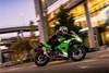 2025 NINJA 500 SE KRT EDITION