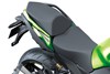 2025 NINJA 1100SX SE