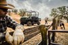 2026 MULE 4010 TRANS4x4