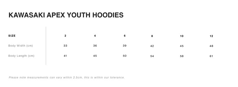 KAWASAKI APEX (KIDS) HOODIE detail photo 3