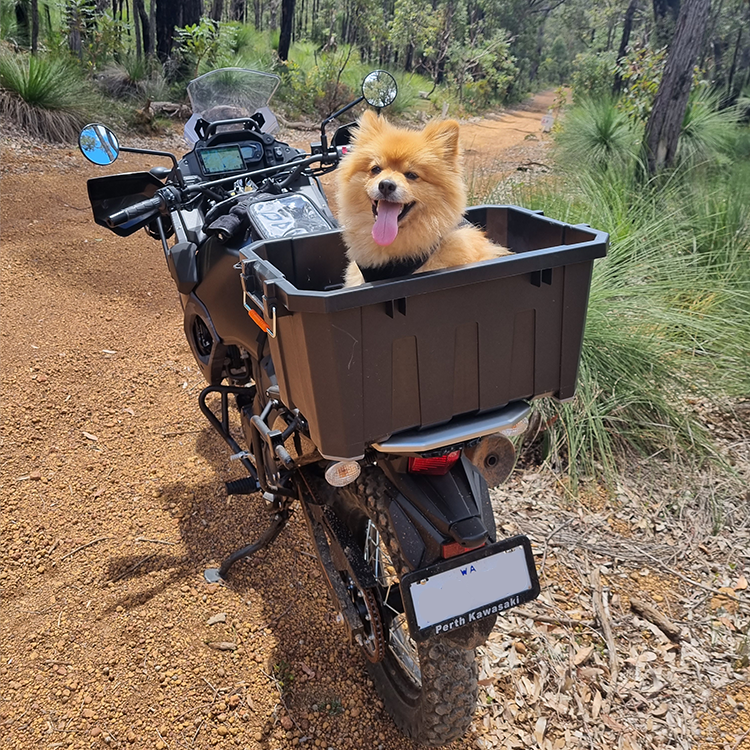 Peter's 2022 KLR650 Adventure