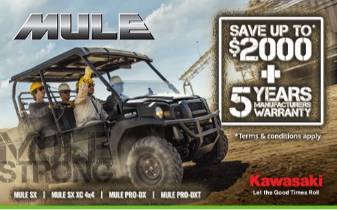MULE STRONG