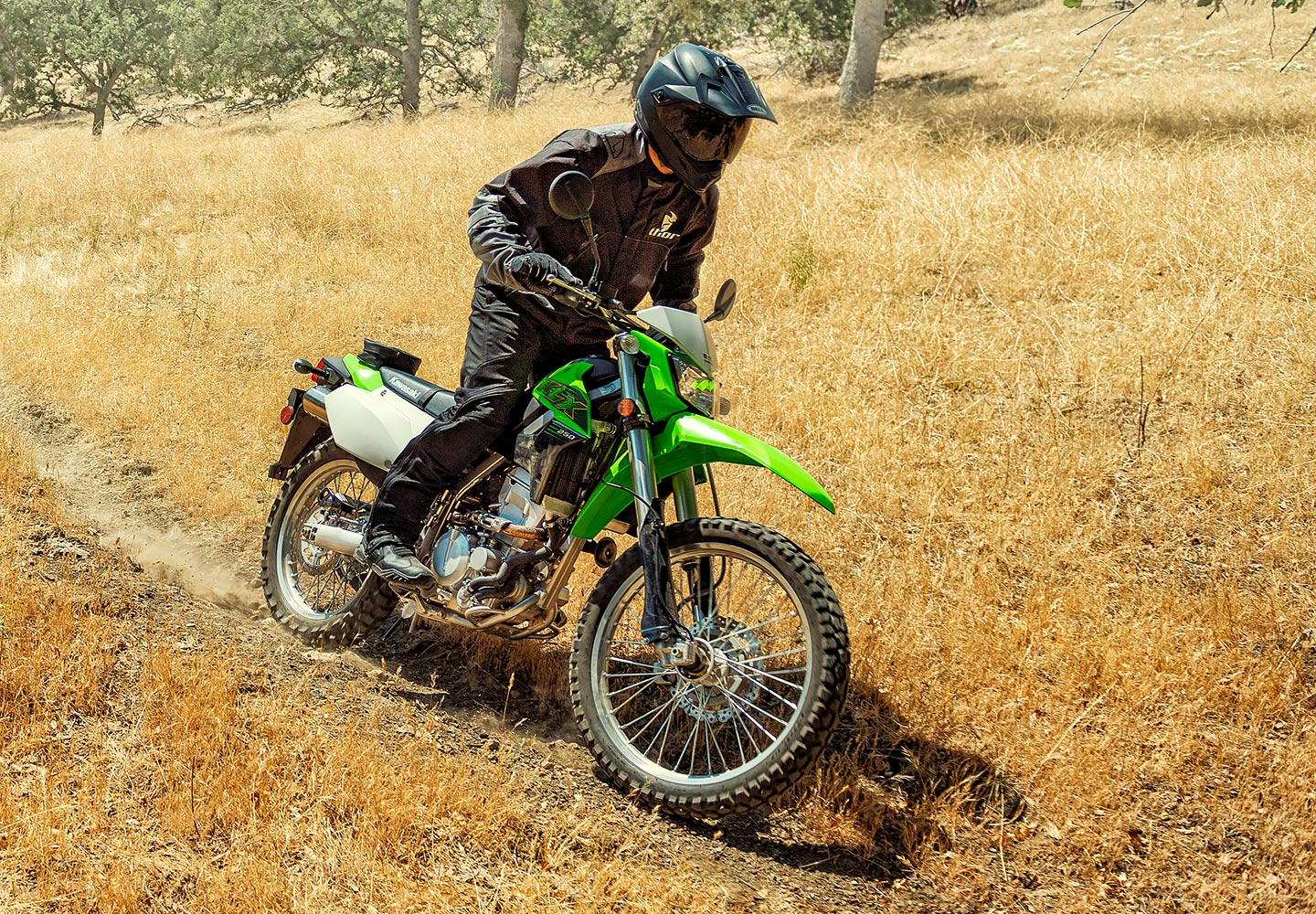 Kawasaki klx deals 250 dual sport