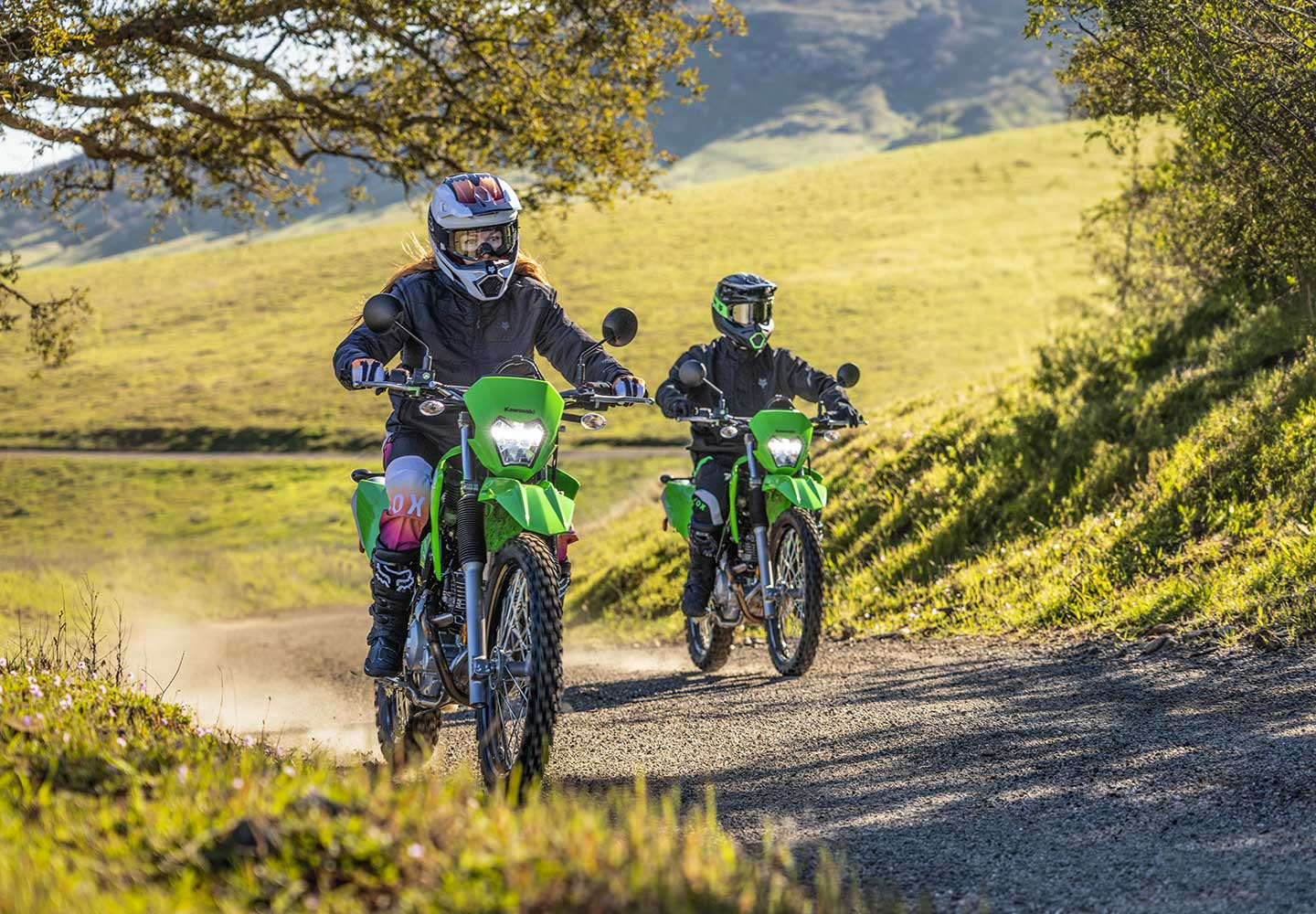 Kawasaki KLX230 | Dual-Purpose Motorcycle | Lightweight Dual-Sport