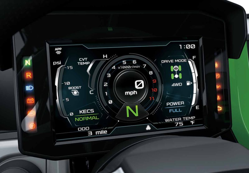 Take Leisure-Time Fun to the Extreme with Up to 4 Passengers