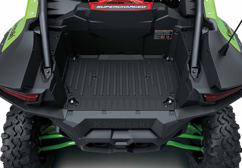 Take Leisure-Time Fun to the Extreme with Up to 4 Passengers