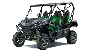 TERYX4