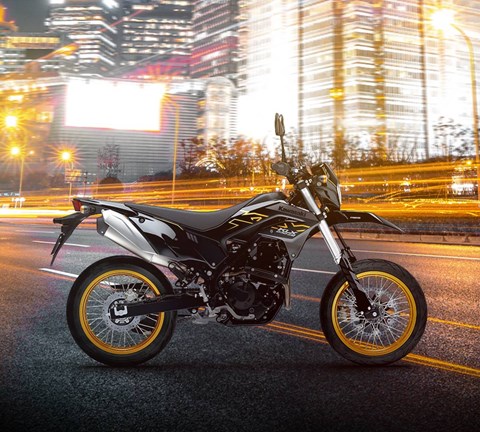 KLX230SM