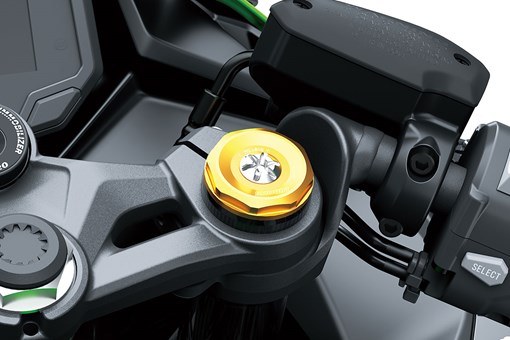 2024 NINJA ZX-4RR KRT EDITION