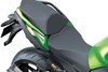 2025 NINJA 1100SX SE