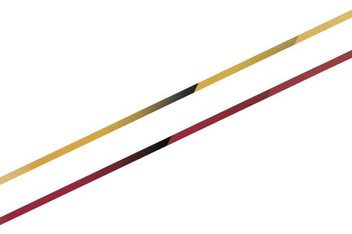 2025 NINJA 1100SX SE