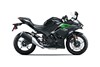 2025 NINJA 500