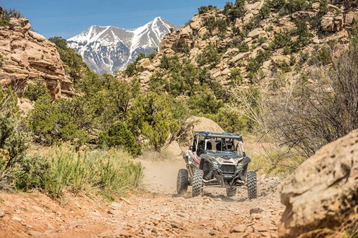 2025 TERYX KRX4 1000 eS