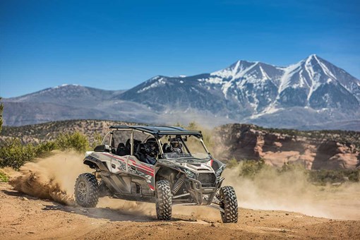 2025 TERYX KRX4 1000 eS