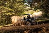 2025 TERYX S LE