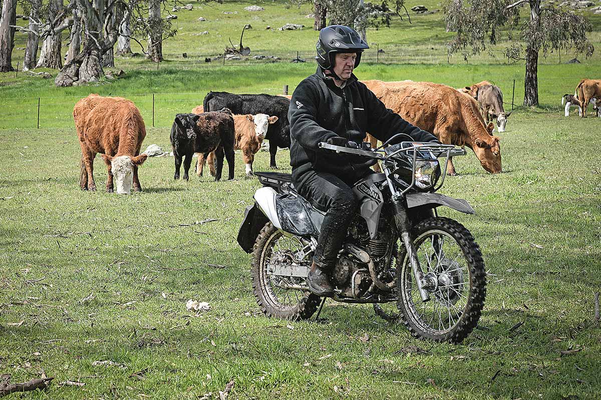 2027 STOCKMAN