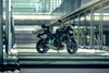 2025 Z650