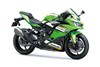 2025 NINJA ZX-4R