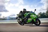 2026 NINJA ZX-4RR