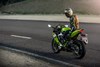 2026 NINJA ZX-4RR