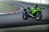 2026 NINJA ZX-4RR