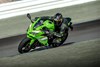 2026 NINJA ZX-4RR