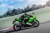 2026 NINJA ZX-4RR