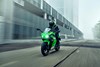 2026 NINJA 500 SE KRT EDITION