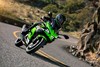 2026 NINJA 500 SE KRT EDITION