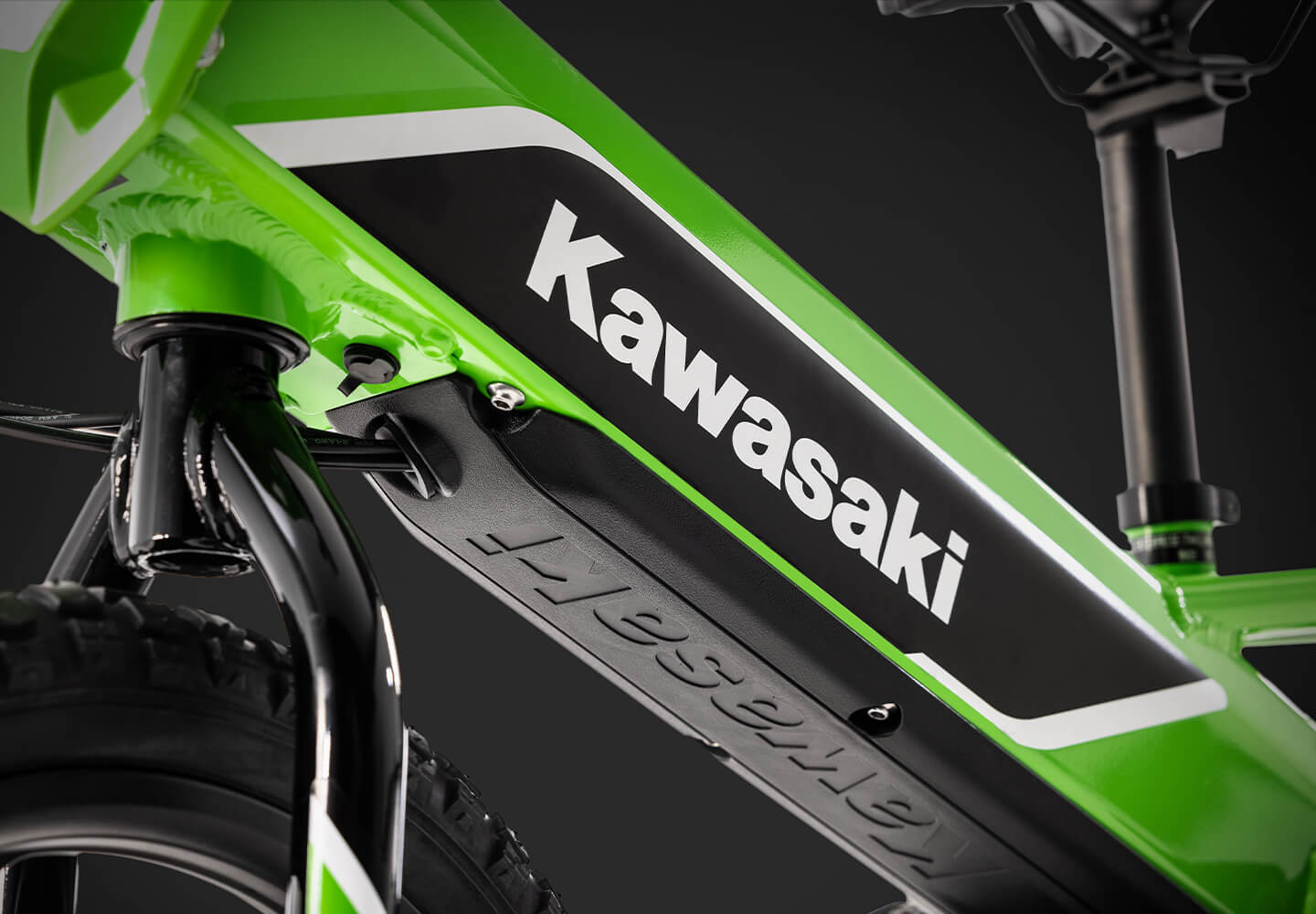 Kawasaki mountain shop bike