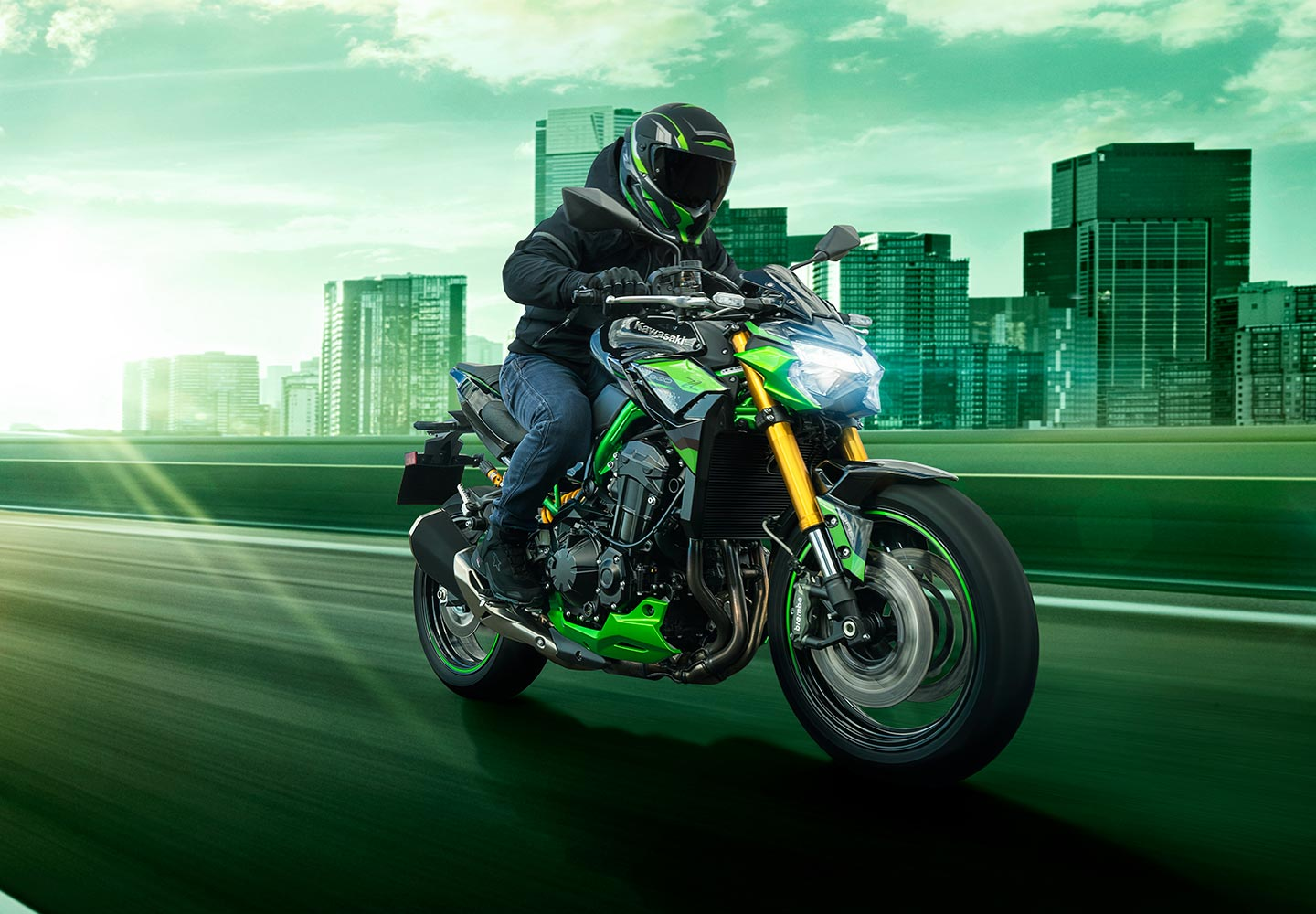 Kawasaki Z900 ABS | Naked Motorcycle | Superb Power & Handling