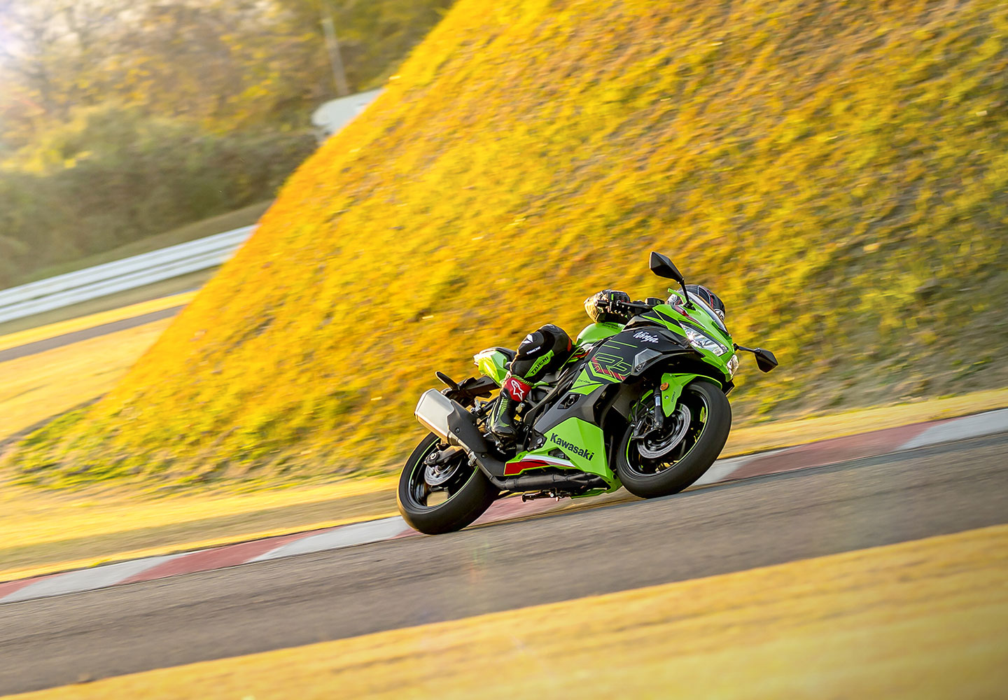 Kawasaki Ninja® ZX™-4R ABS | Motorcycle | Race-Ready Performance