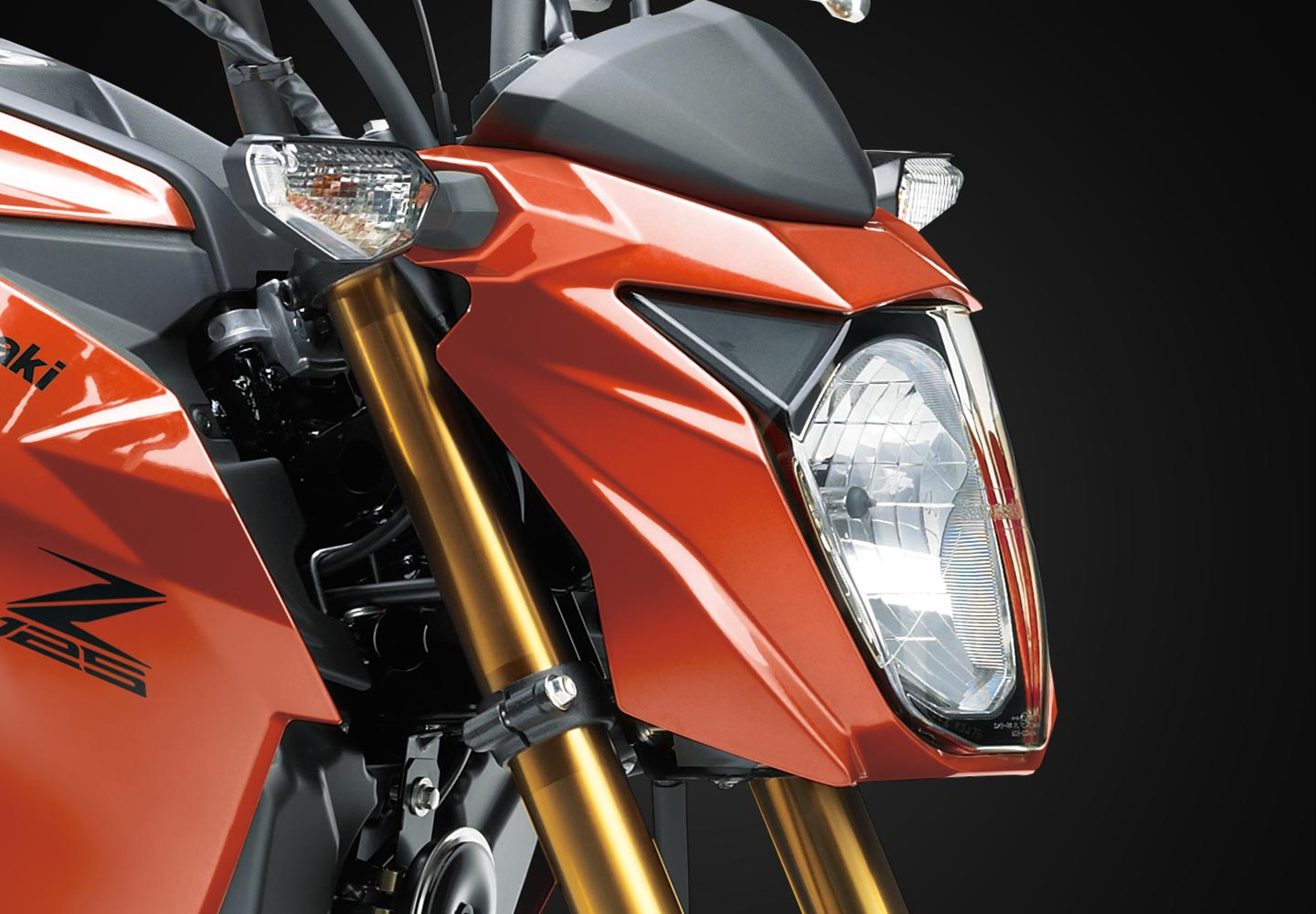 Kawasaki Z125 PRO | Naked Motorcycle | Nimble & Fun
