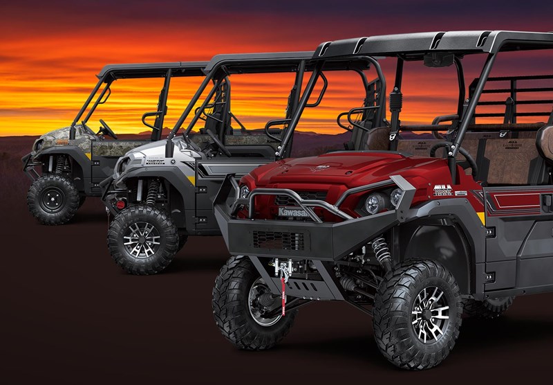 MODEL EDITIONS