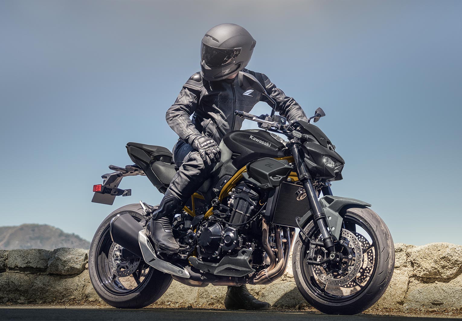 Kawasaki Z900 ABS | Naked Motorcycle | Sugomi™ meets performance