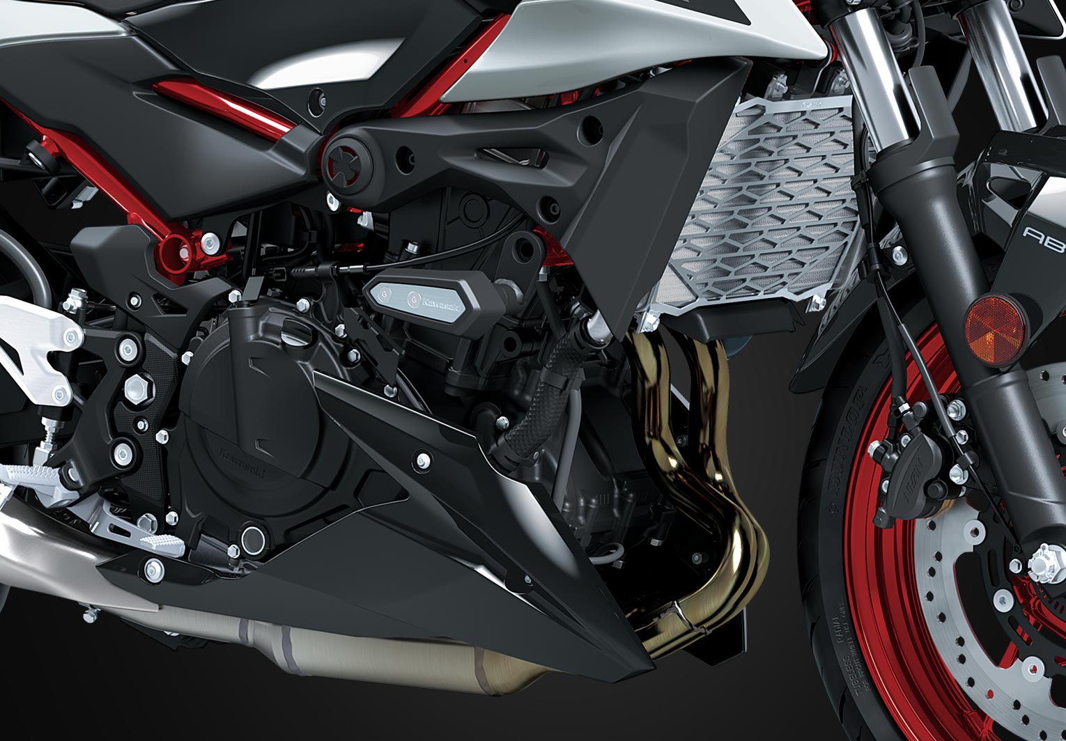 Kawasaki Z500 ABS | Naked Motorcycle | Aggressive Z Styling