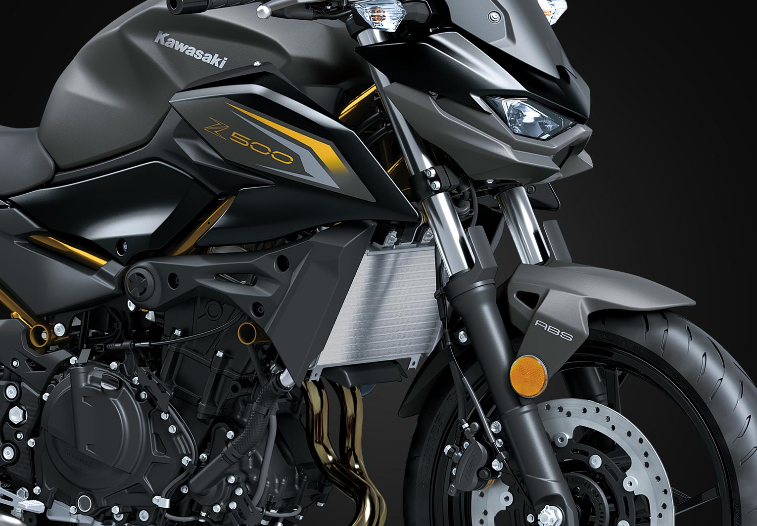 Kawasaki Z500 ABS | Naked Motorcycle | Aggressive Z Styling