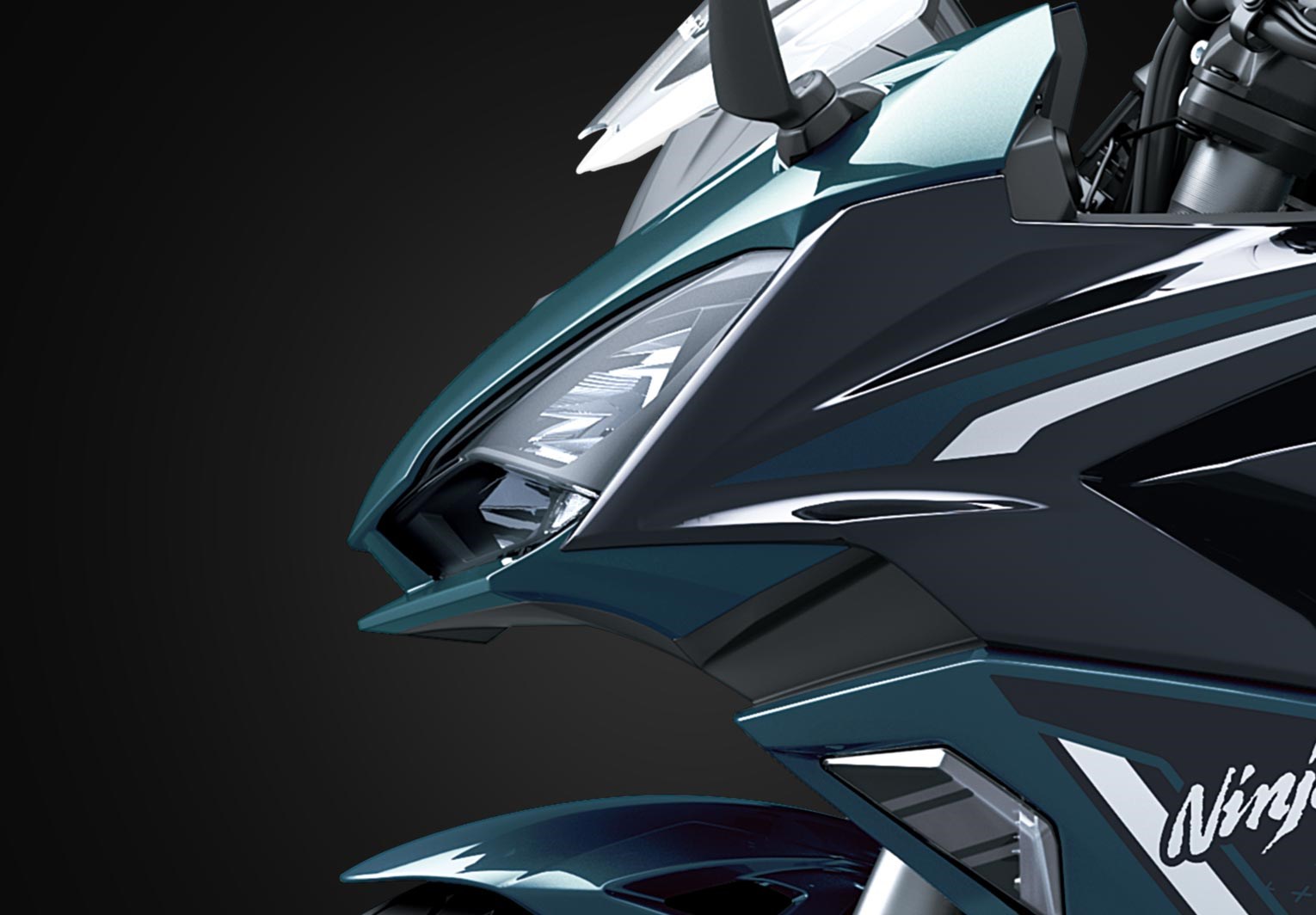 SIGNATURE NINJA® LOOK