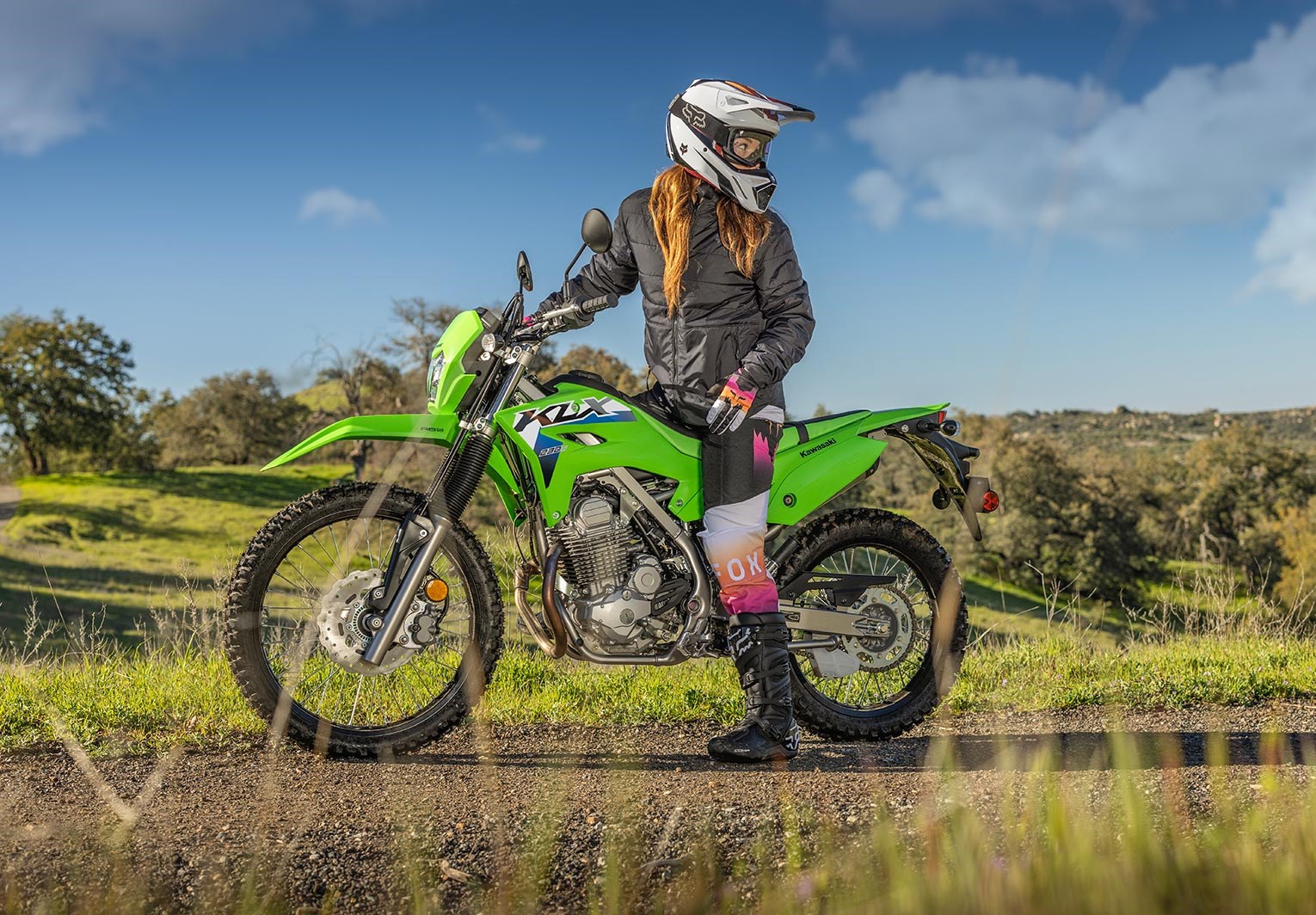 KLX®230 S