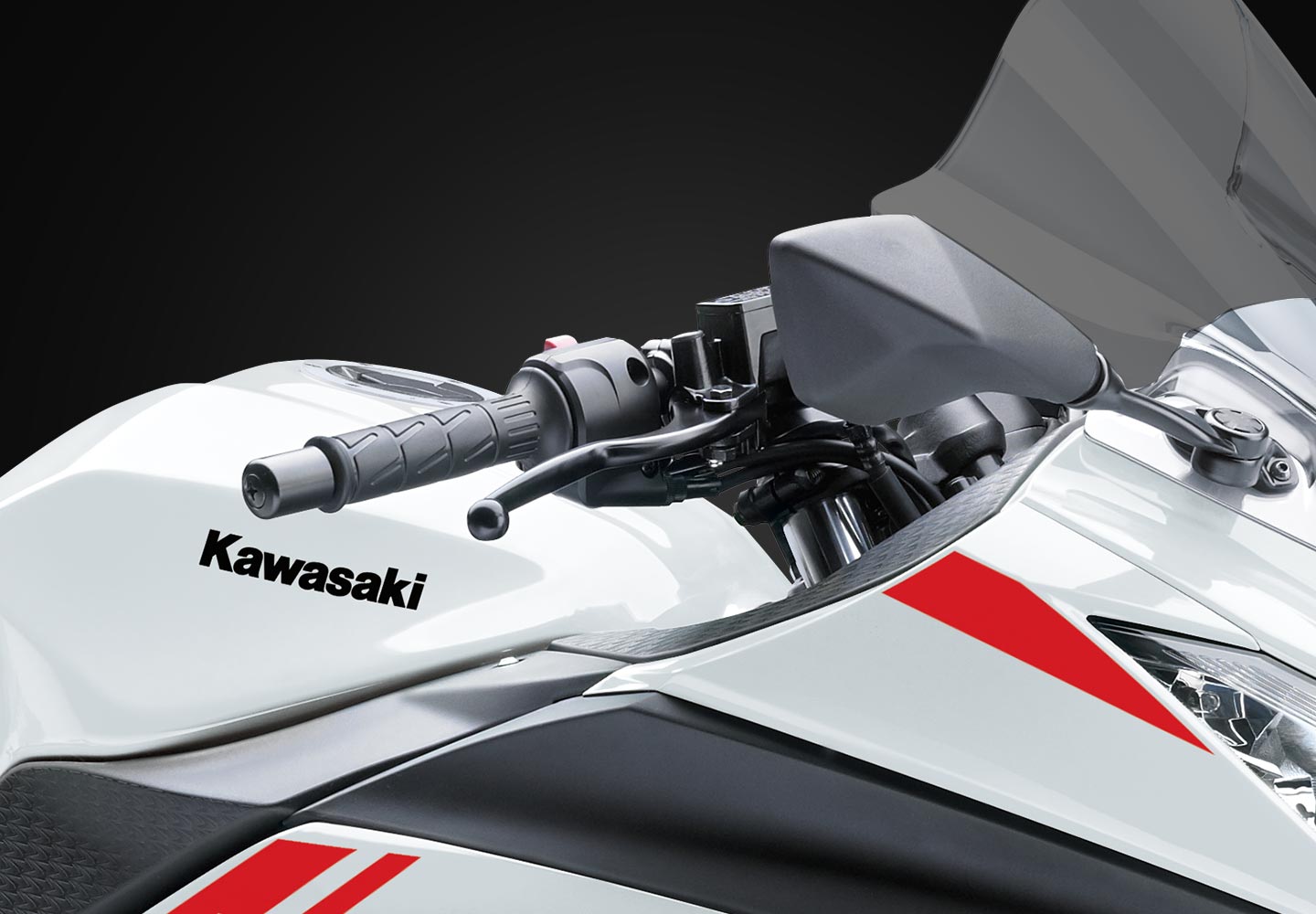 Kawasaki Ninja® 300 ABS | Motorcycle | Approachable Sportbike