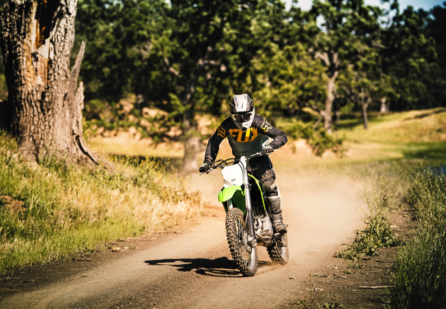 Kawasaki KLX300R | Off-Road Motorcycle | The Ultimate Trail Bike