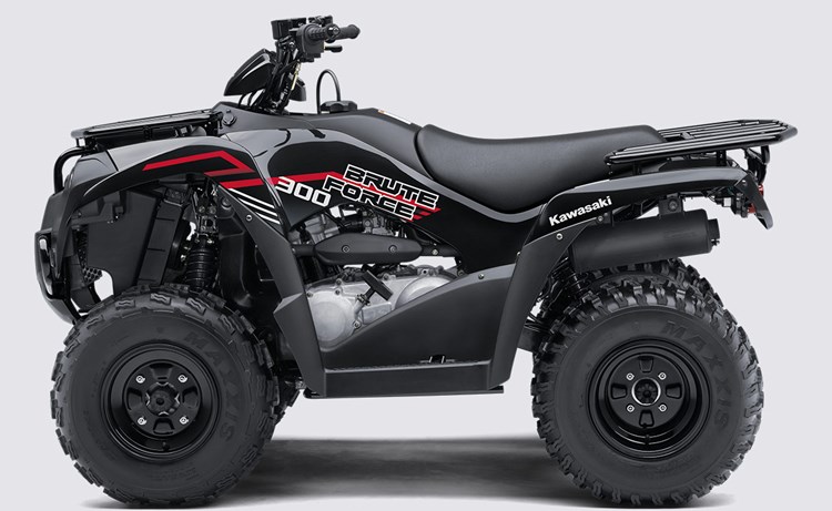 BRUTE FORCE® 300