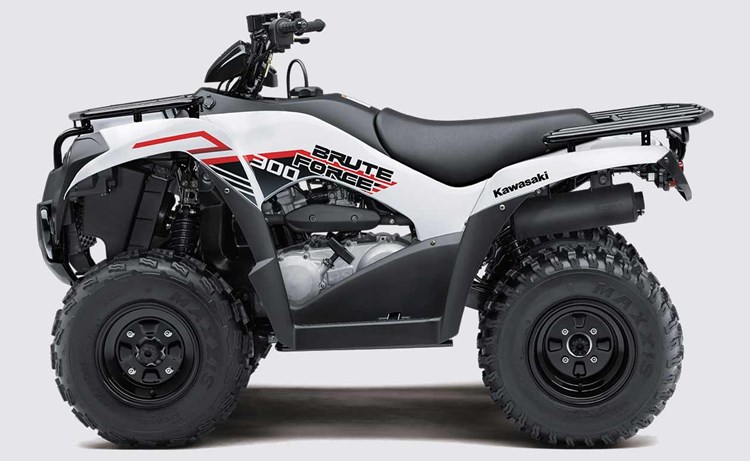 BRUTE FORCE® 300